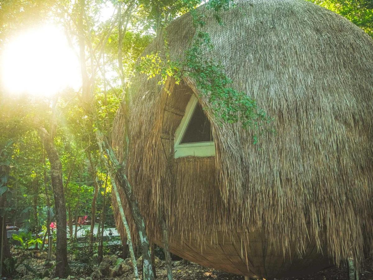 Casa Del Arbol At Villa Duendes Akumal Bagian luar foto