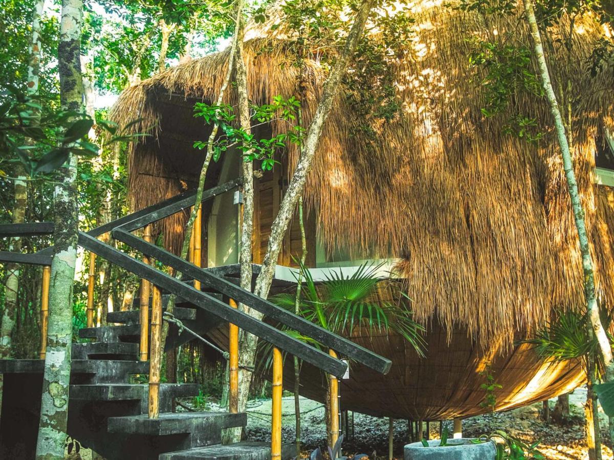 Casa Del Arbol At Villa Duendes Akumal Bagian luar foto