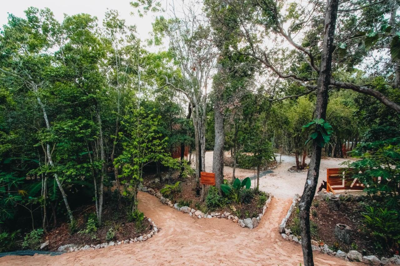 Casa Del Arbol At Villa Duendes Akumal Bagian luar foto