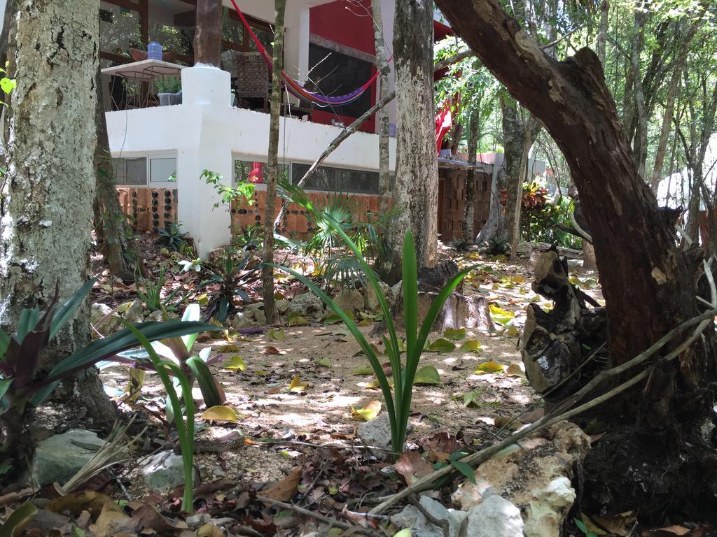 Casa Del Arbol At Villa Duendes Akumal Bagian luar foto